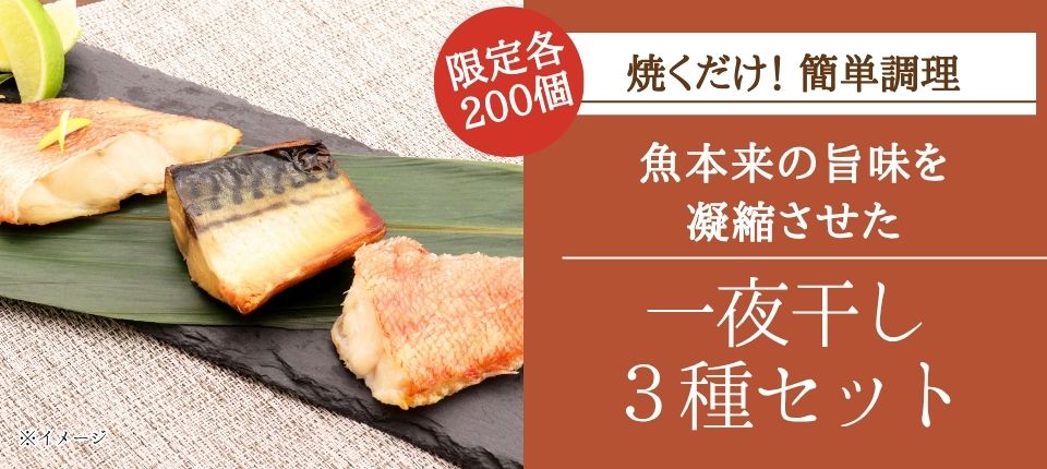 2026秋_一夜干し.jpg